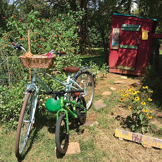 
For this photo, my son and I had recently arrived after a bike ride, and we cut fresh flowers straight from our garden for vases in¬side the house. 
